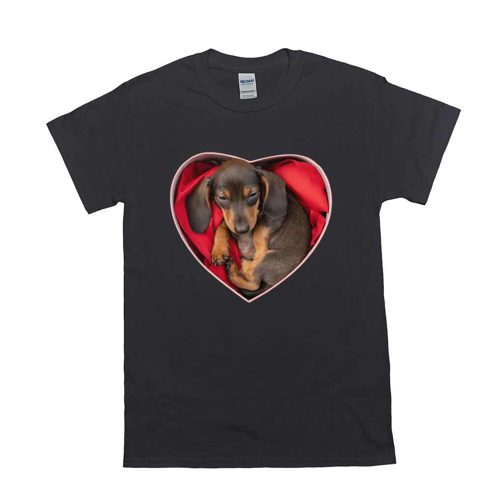 Puppy Love T-Shirts Dachshund