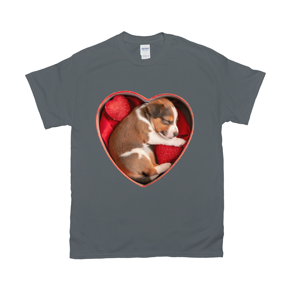 Puppy Love T-Shirts Red Heeler