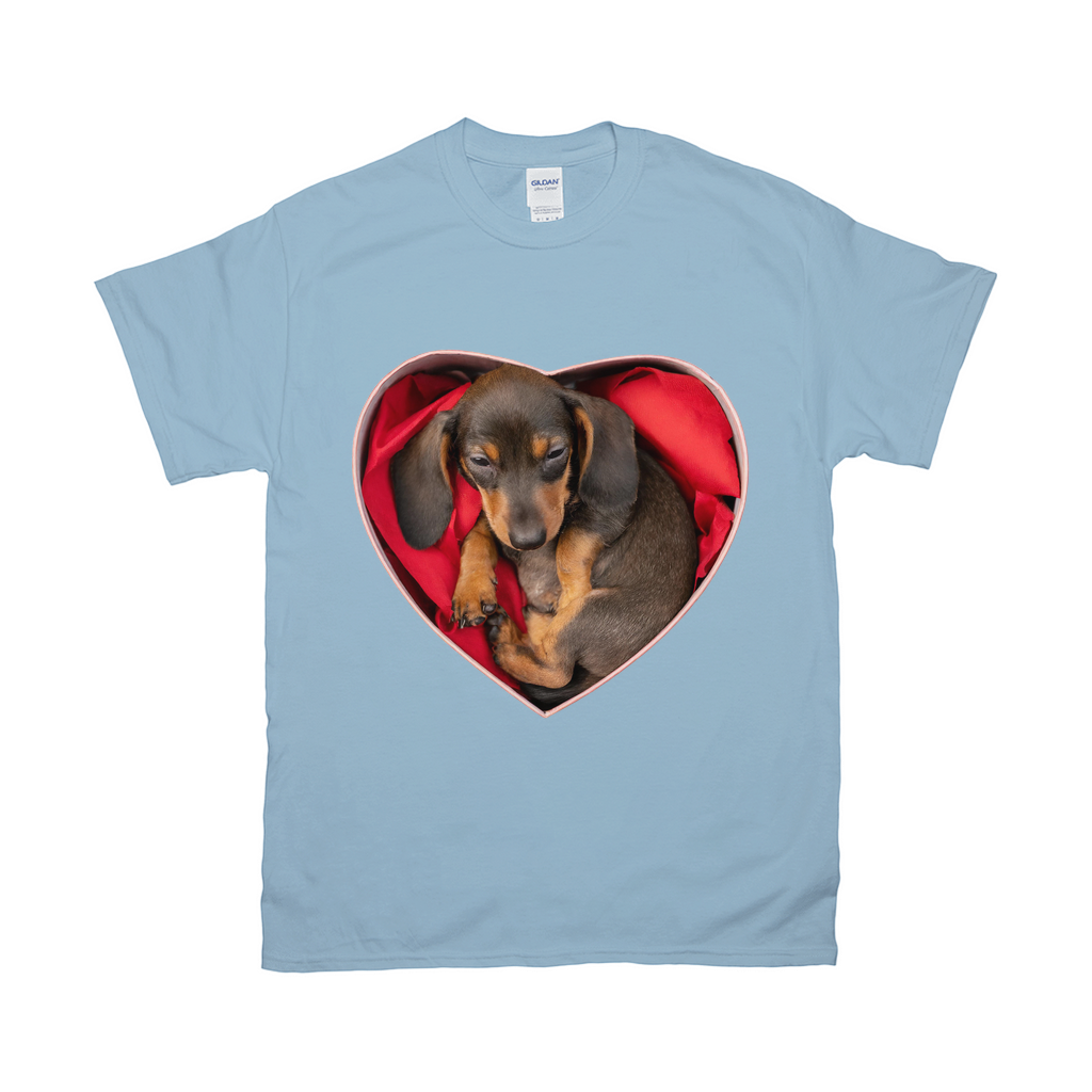 Puppy Love T-Shirts Dachshund