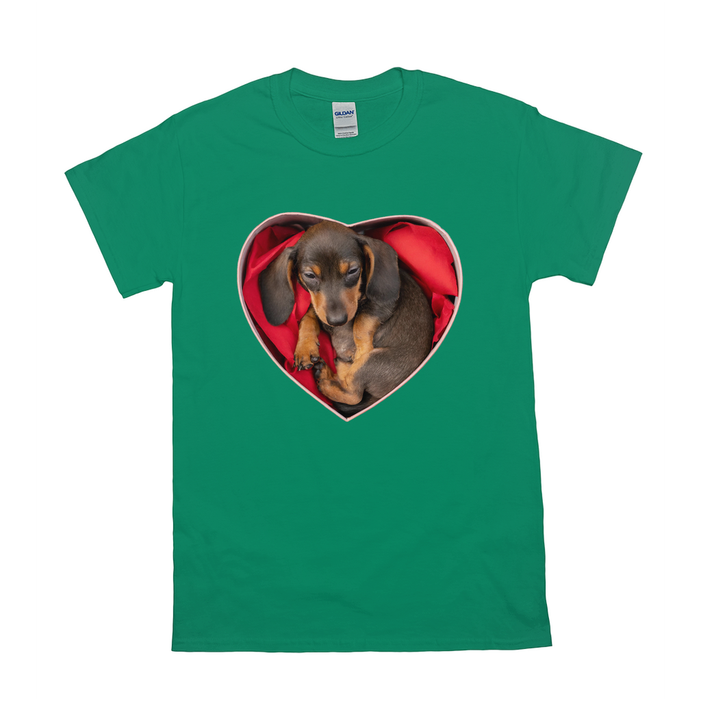 Puppy Love T-Shirts Dachshund