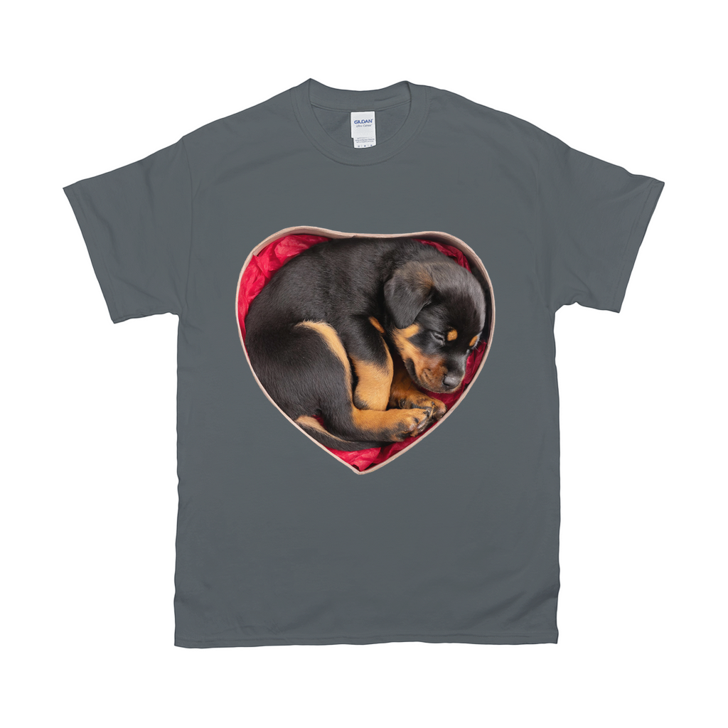 Puppy Love T-Shirts Rottweiler