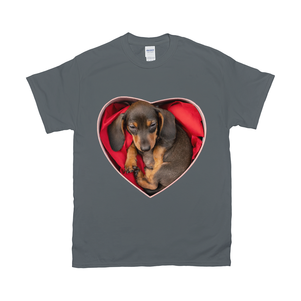 Puppy Love T-Shirts Dachshund