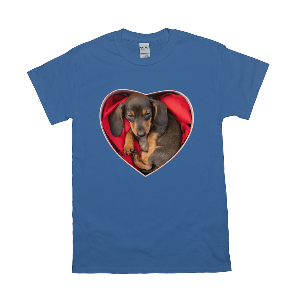 Puppy Love T-Shirts Dachshund