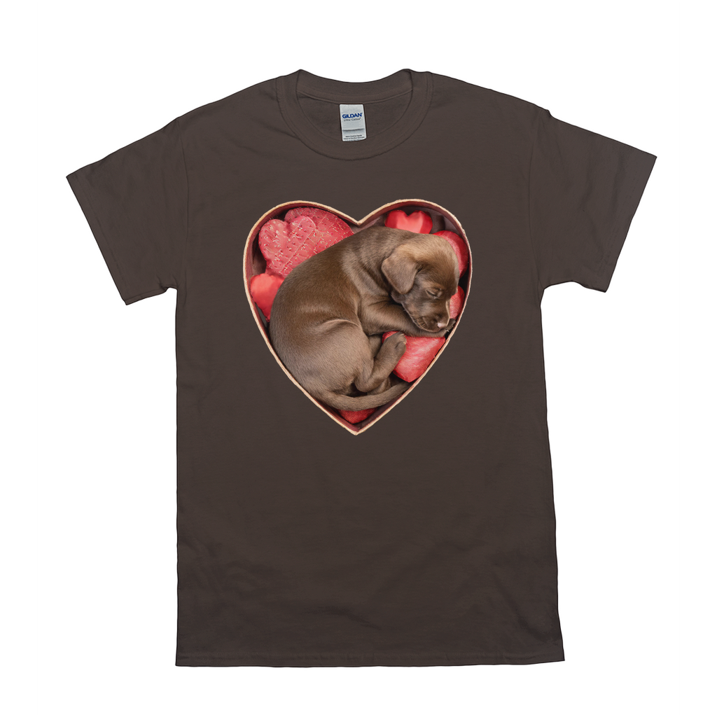 Puppy Love T-Shirts Chocolate Lab