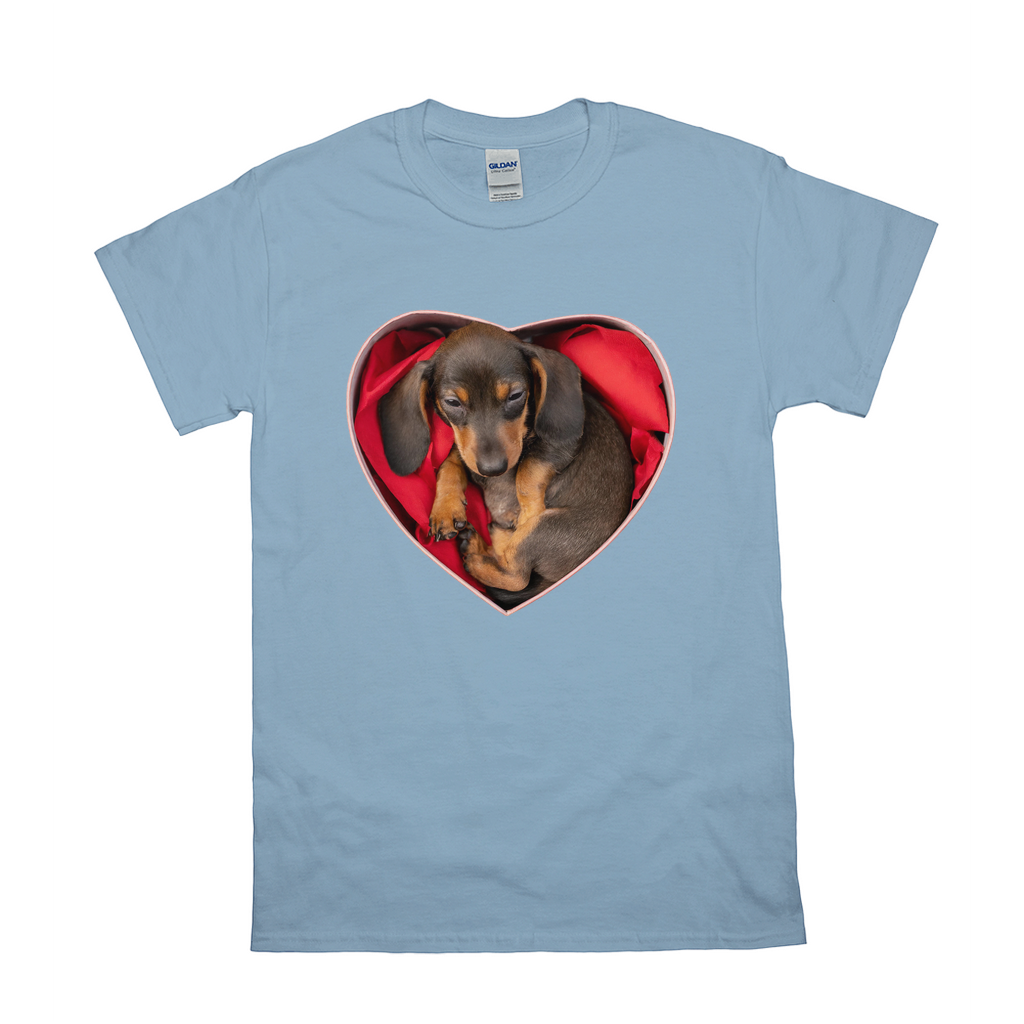 Puppy Love T-Shirts Dachshund