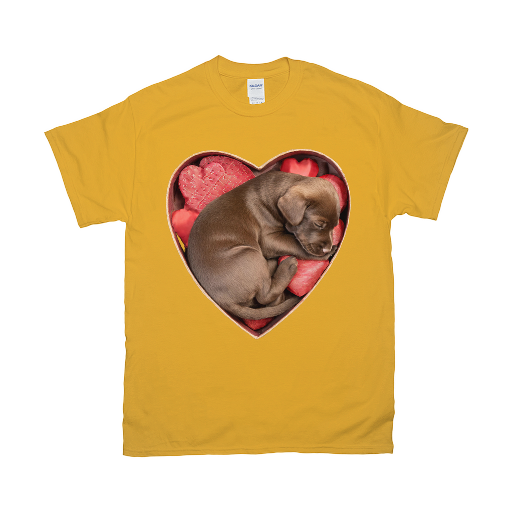 Puppy Love T-Shirts Chocolate Lab