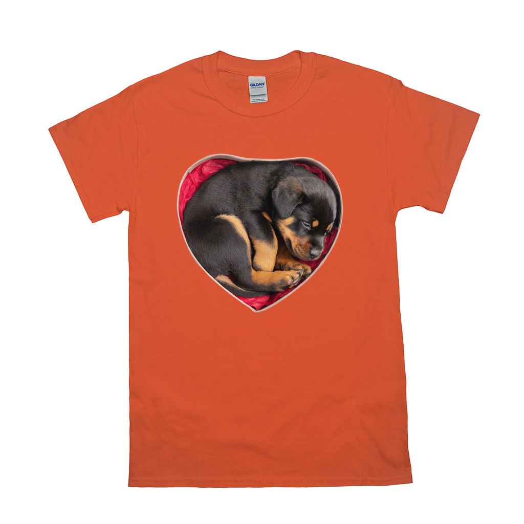 Puppy Love T-Shirts Rottweiler