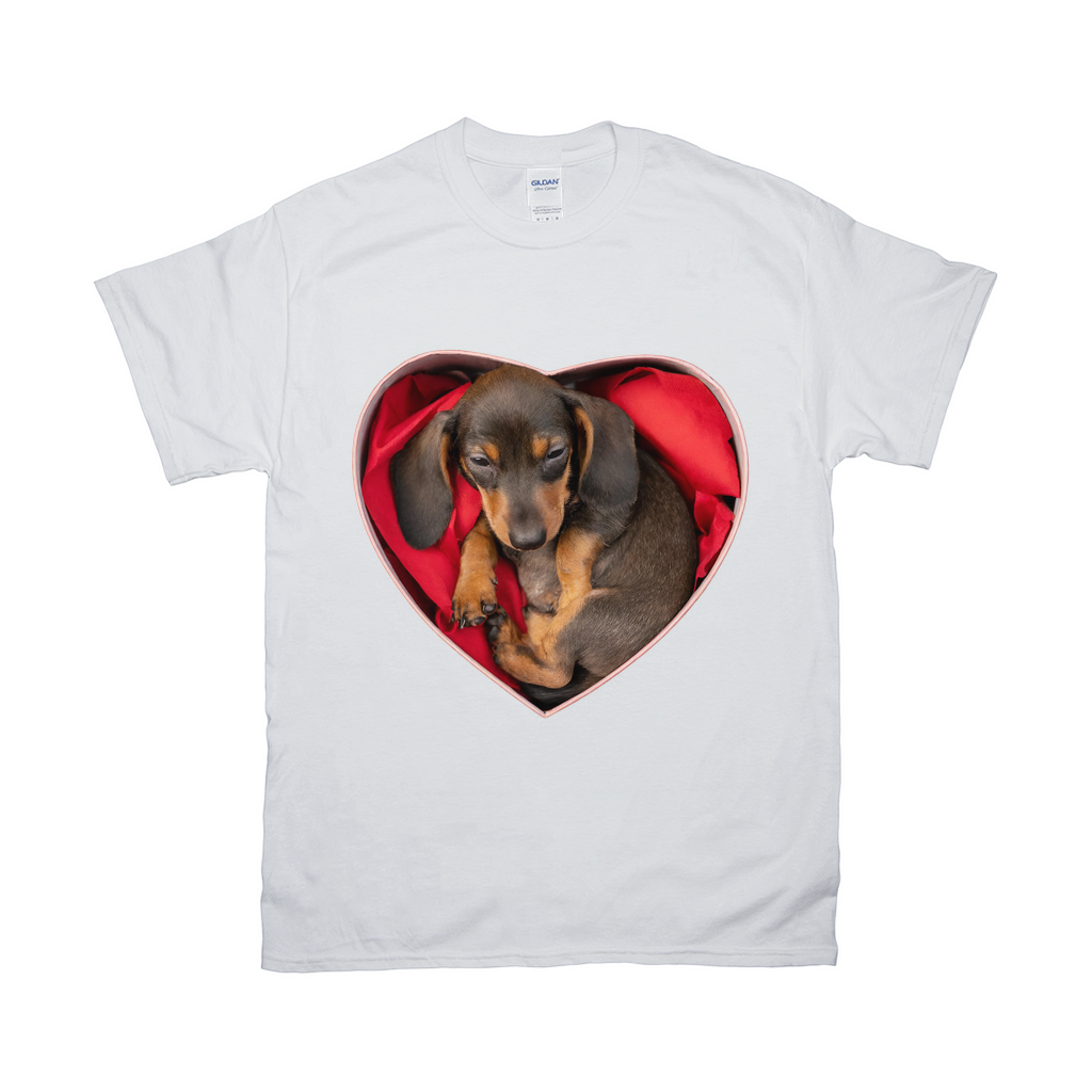 Puppy Love T-Shirts Dachshund