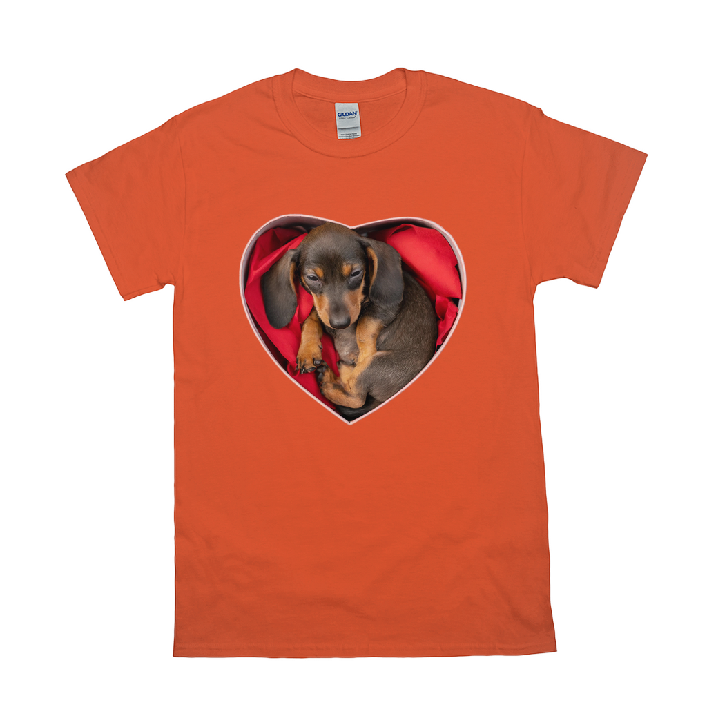 Puppy Love T-Shirts Dachshund